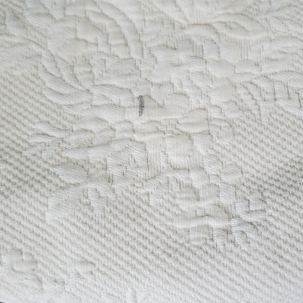 Linens n Things Ivory Set of 2 Maltese Pillow Shams